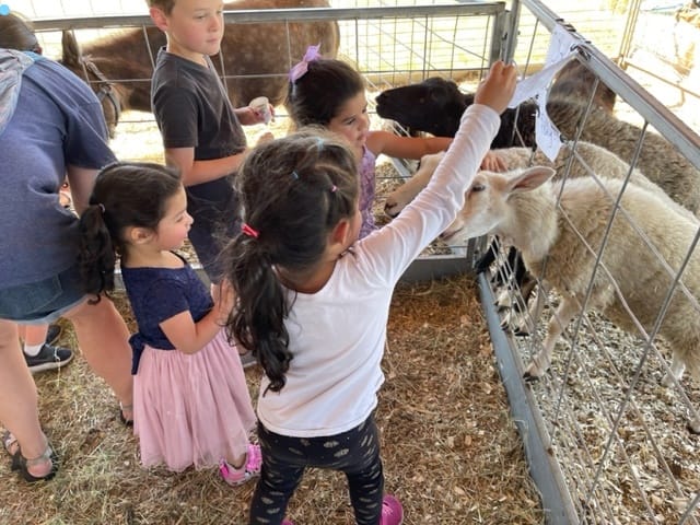 whatsapp image 2025 11 02 at 23.46.01 e2fa372e